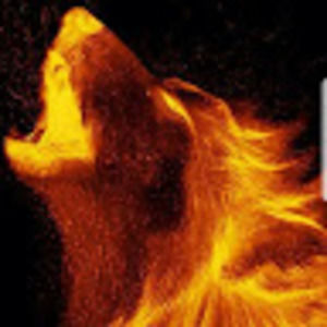 Meet your Posher, Fire_wolf